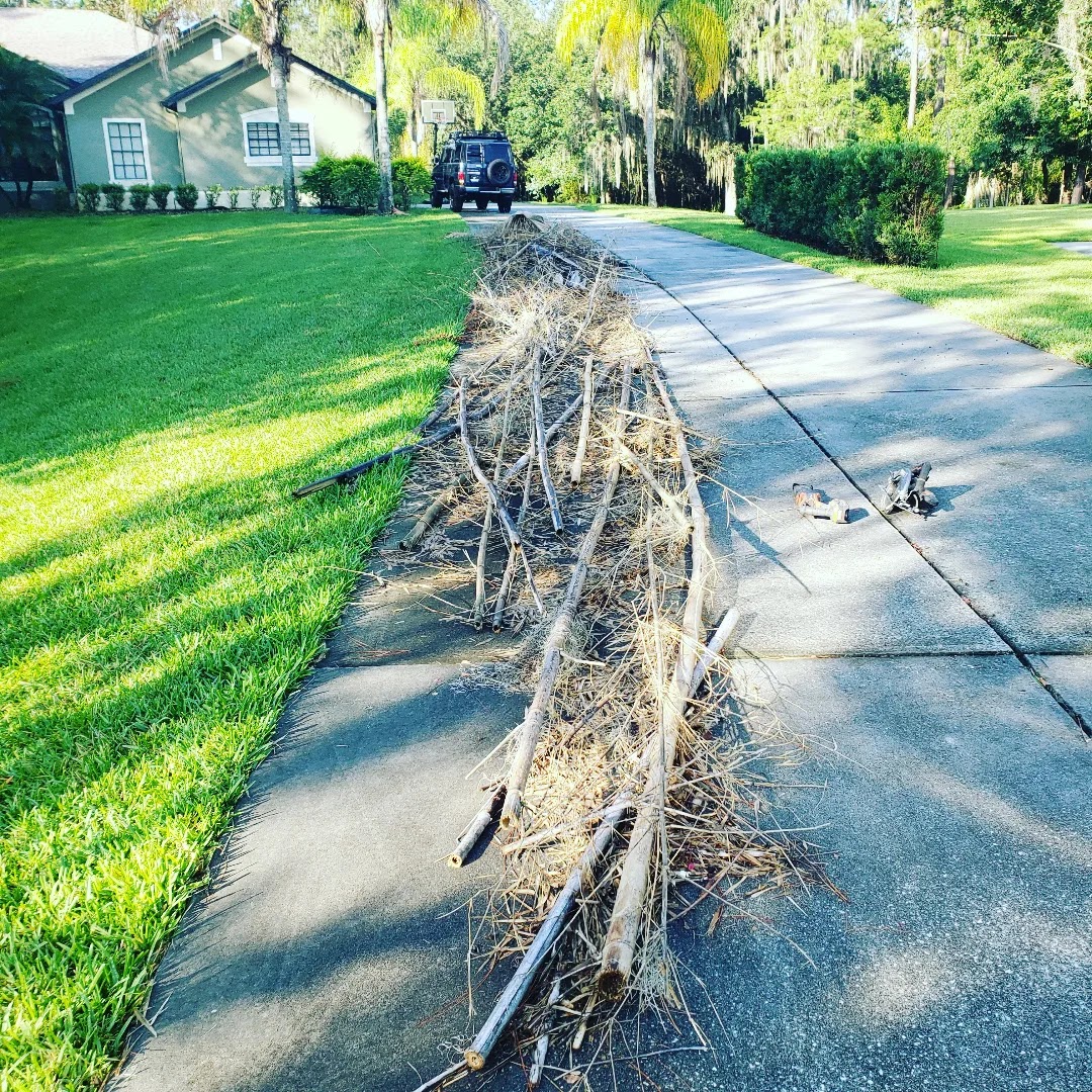 4 GREEN PLANET Junk Removal junk removal job in Orlando #2