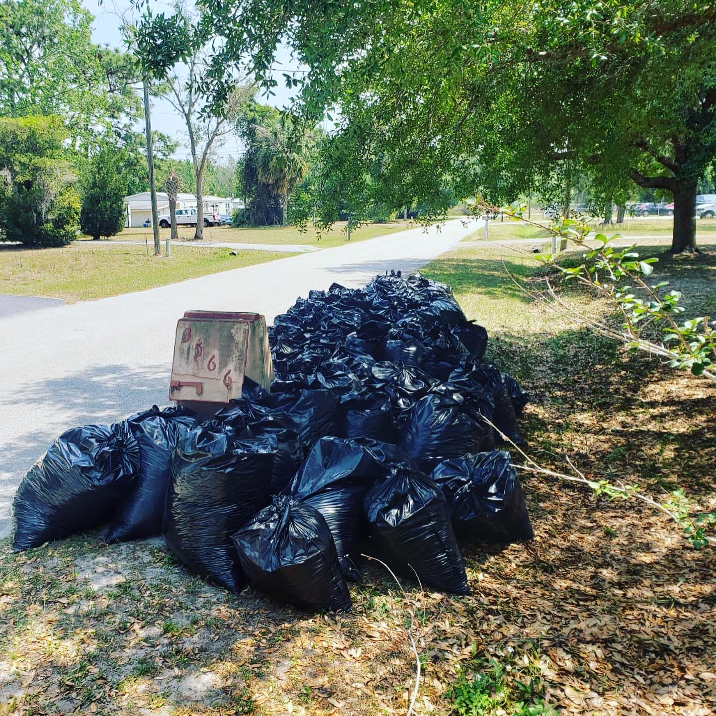 4 GREEN PLANET Junk Removal junk removal job in Orlando #3