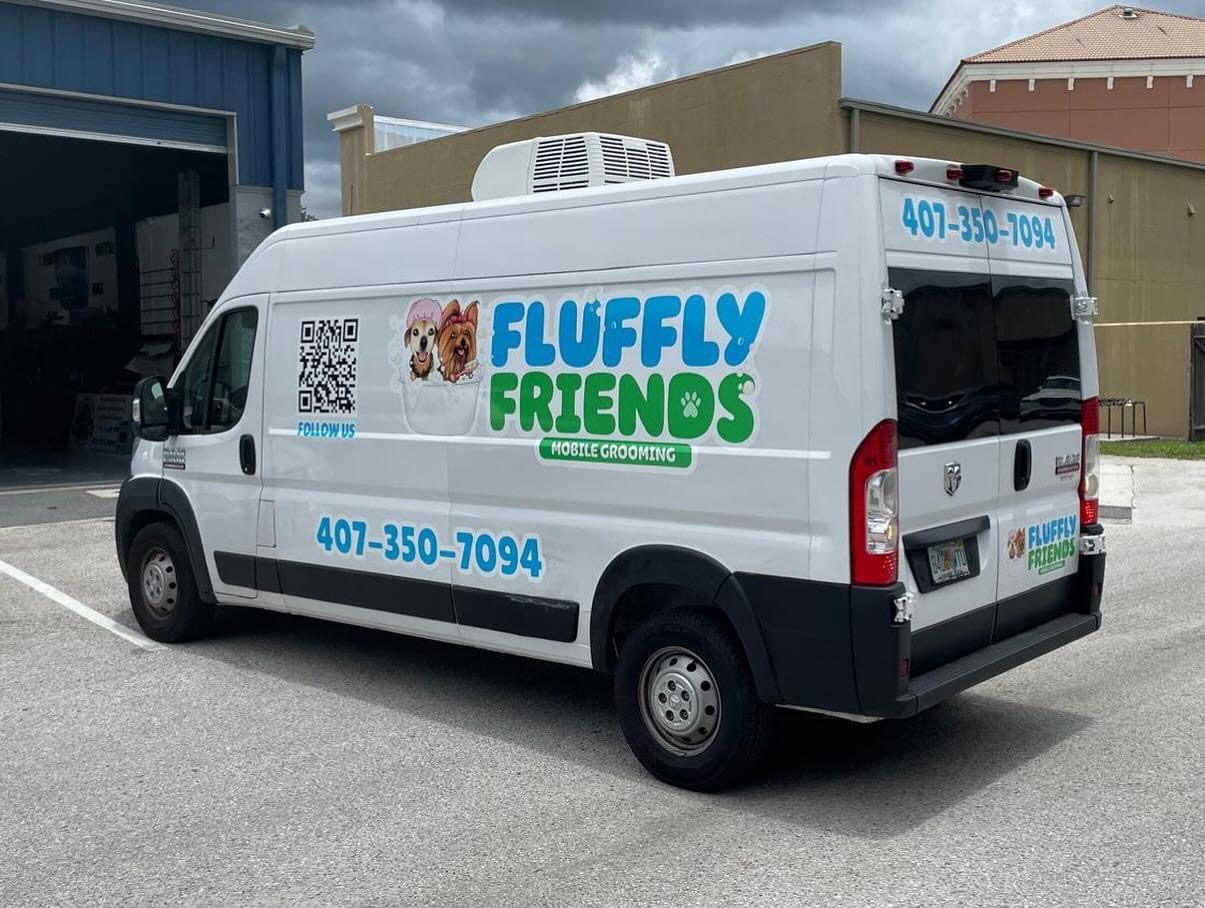 Fluffy Friends grooming result 4