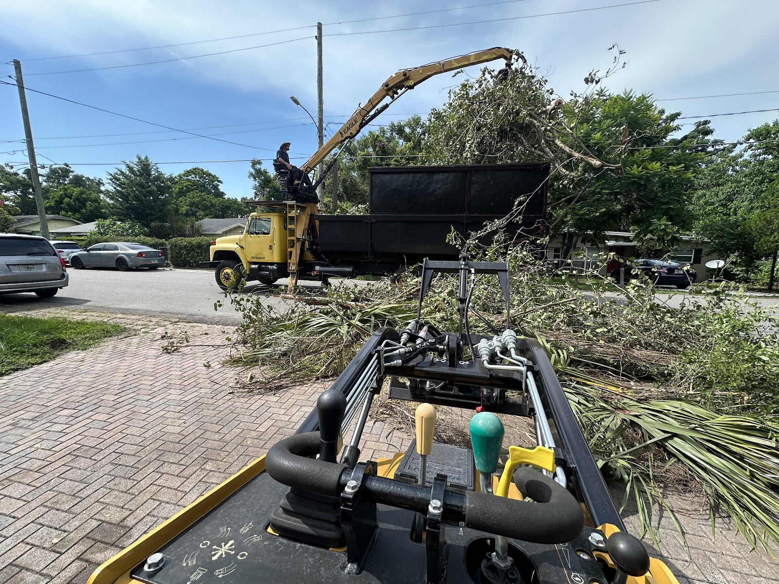Heritage Tree Co. arborists at work on a large tree in Orlando, Florida