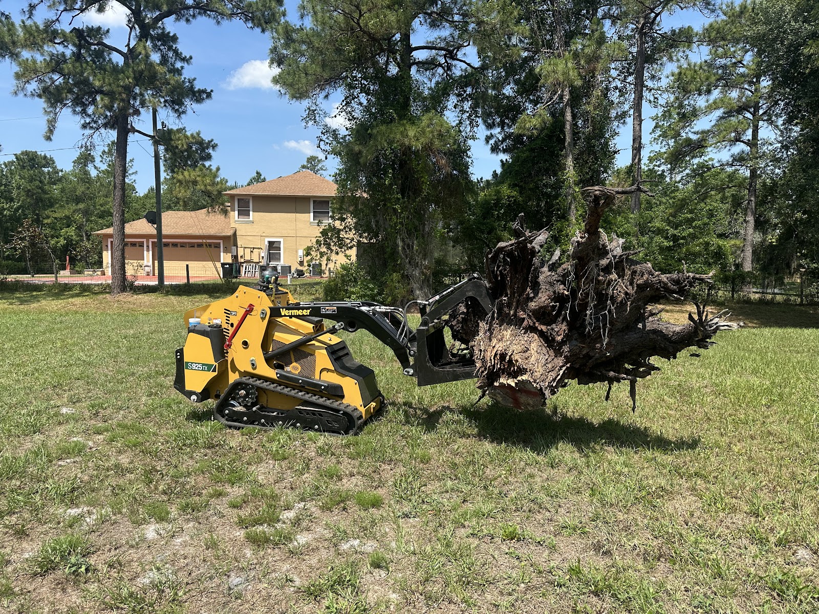 Tree service work by Heritage Tree Co. — job 2