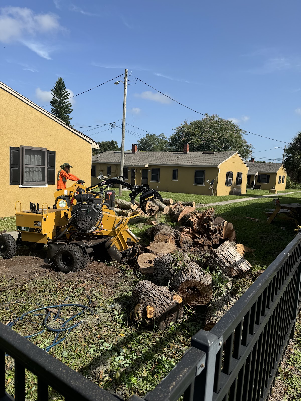 Tree service work by J Trimming Tree Service LLC — job 4