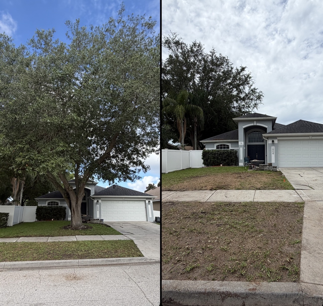 Tree service work by K&E Tree Service — job 4
