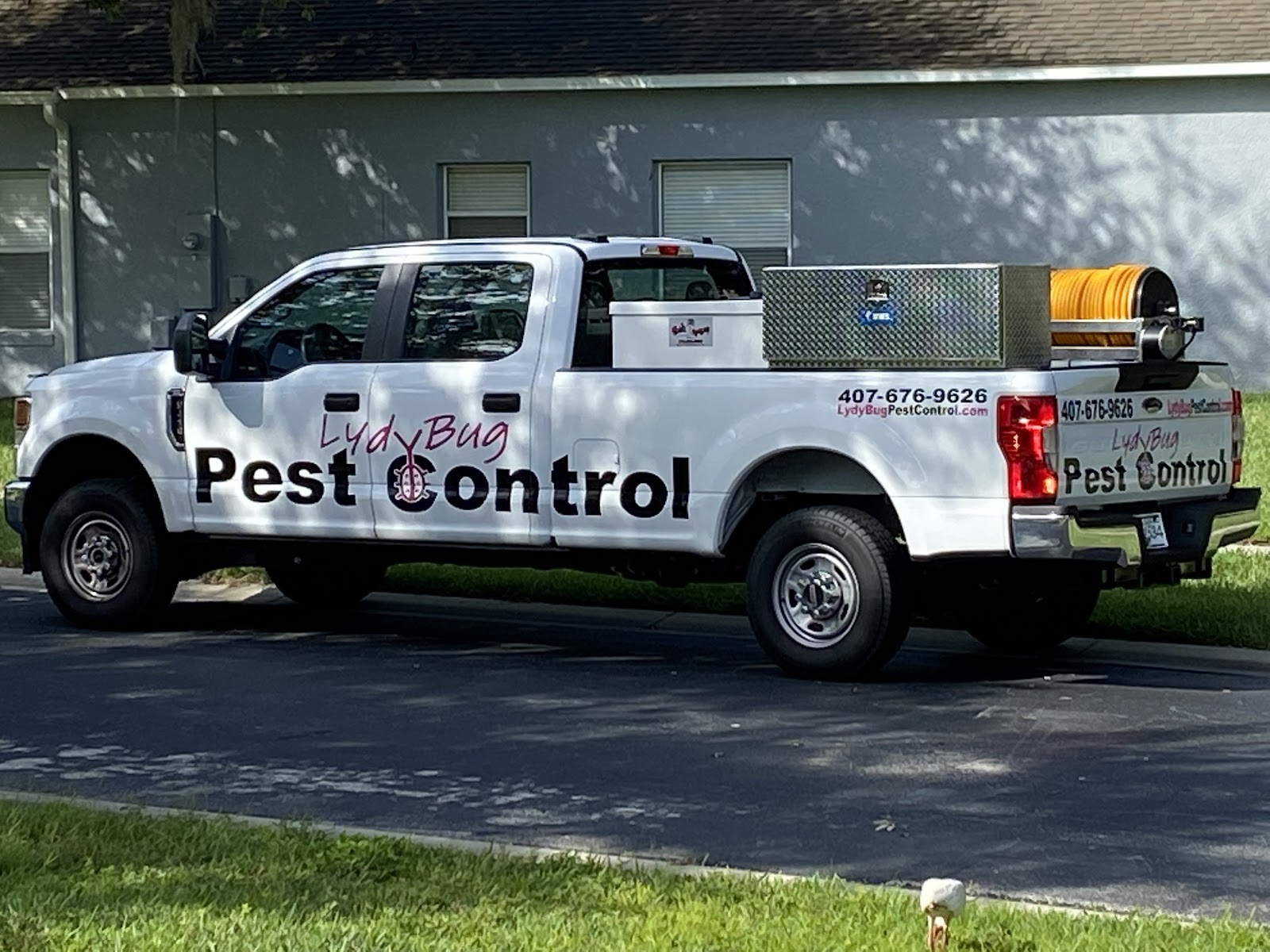 A pest control treatment by LydyBug Pest Control in Orlando, Florida