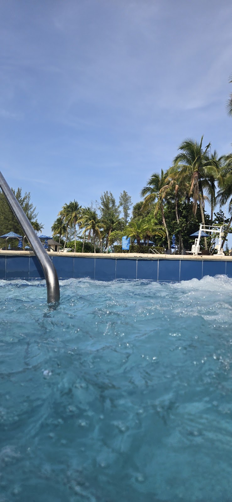 A sparkling, crystal-clear backyard pool serviced by MSC POOL SERVICES