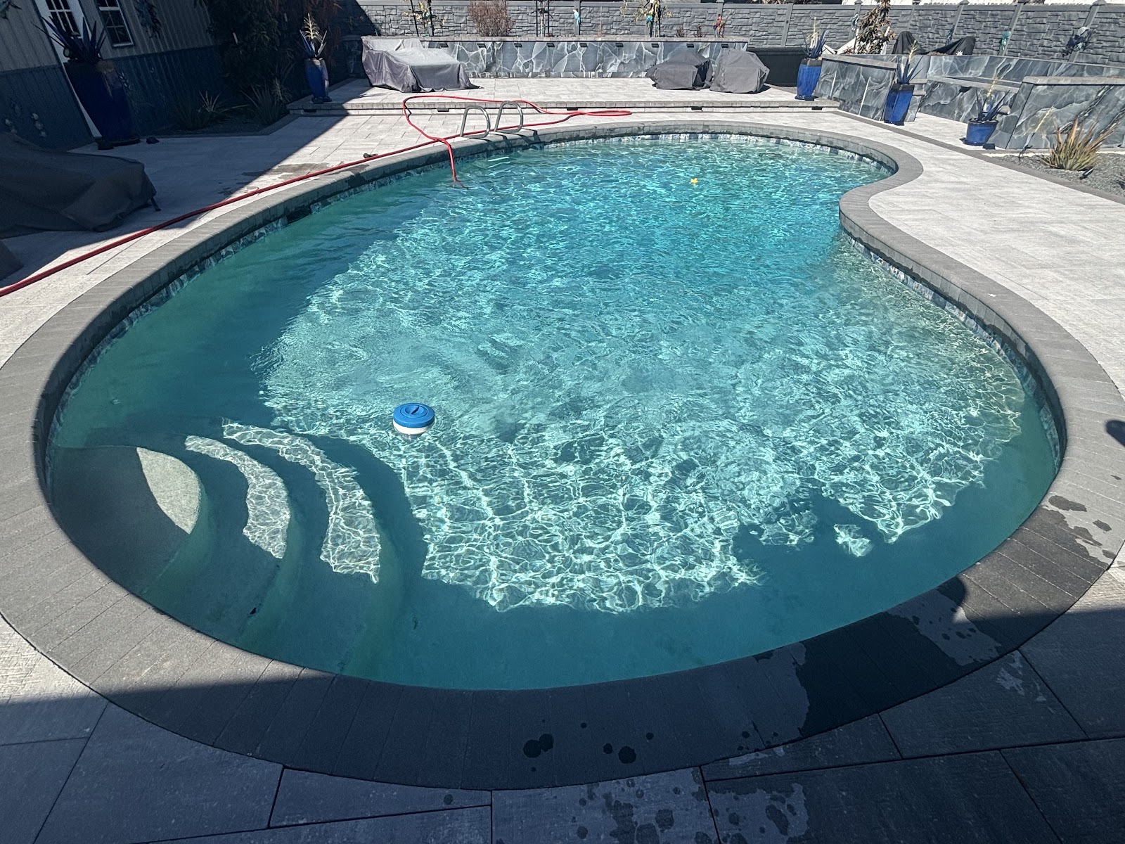 A sparkling, crystal-clear backyard pool serviced by Splash pool Maintenance